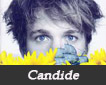 Candide