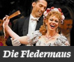 Die Fledermaus