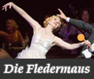 Die Fledermaus